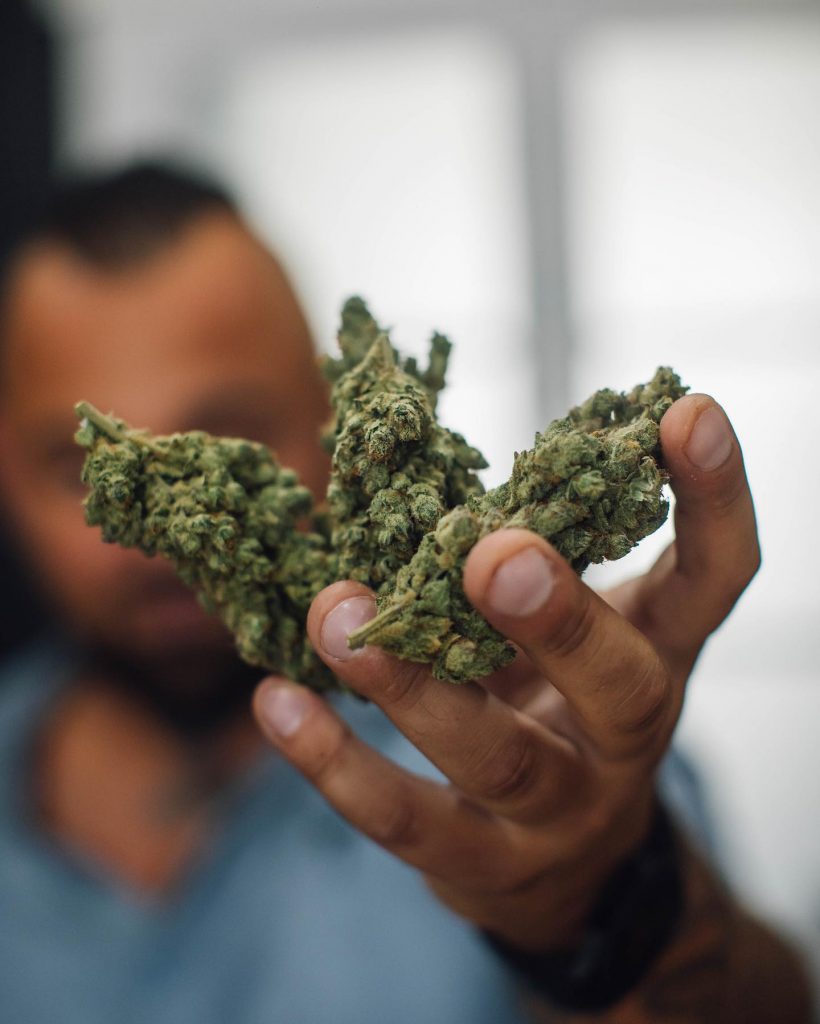 Comment le CBD La Rochelle transforme-t-il l’approche locale du bien-être au naturel ?